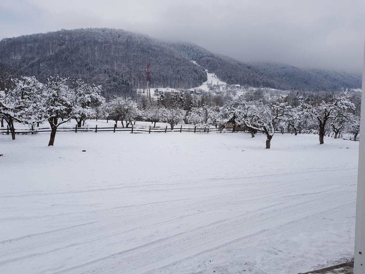 Pensiunea Din Livada Bran (Brasov) Exterior photo