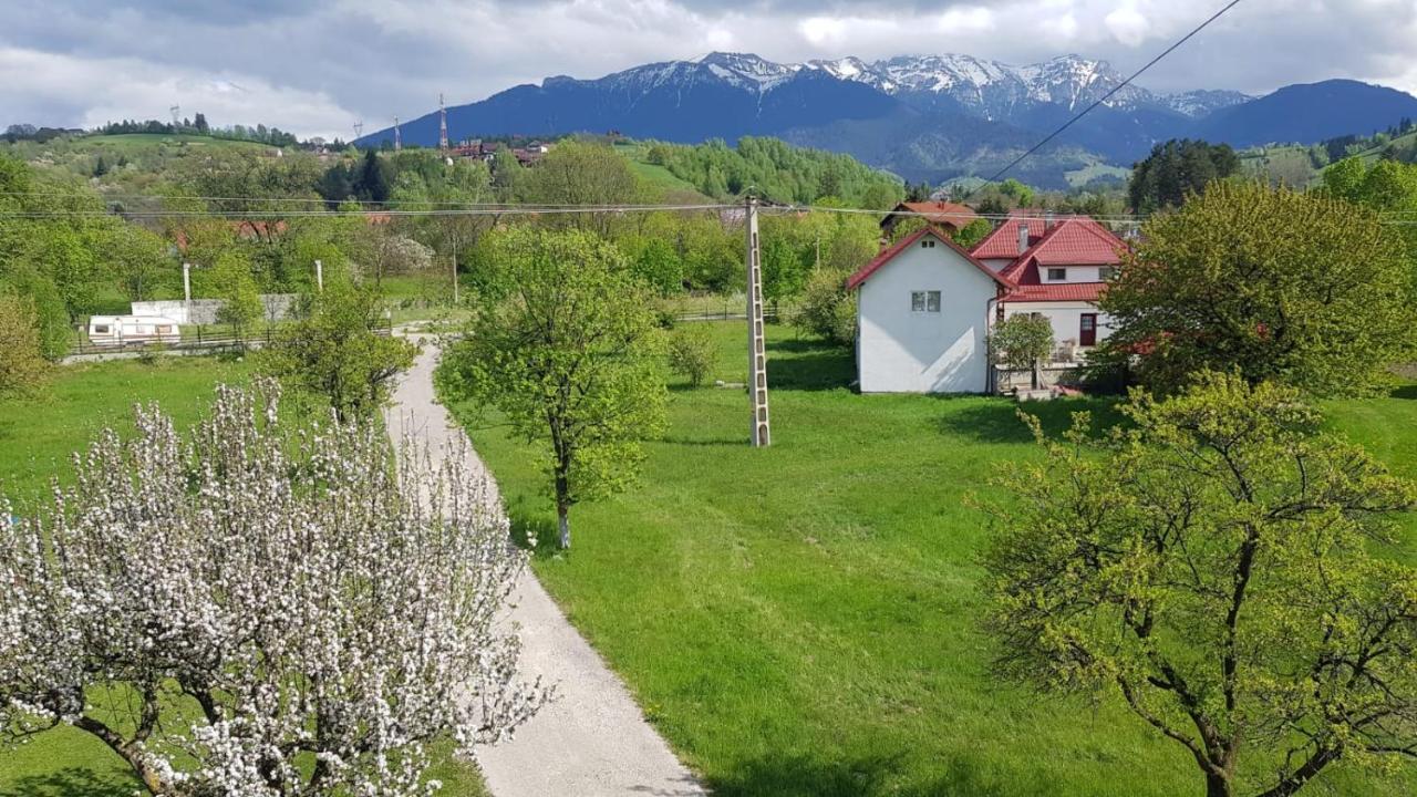 Pensiunea Din Livada Bran (Brasov) Exterior photo